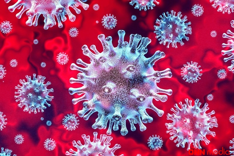 Koronavirus beyinə necə yayılır? – ARAŞDIRMA