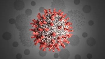 Koronavirus QƏRARI – İlin sonuna qədər QADAĞAN EDİLDİ