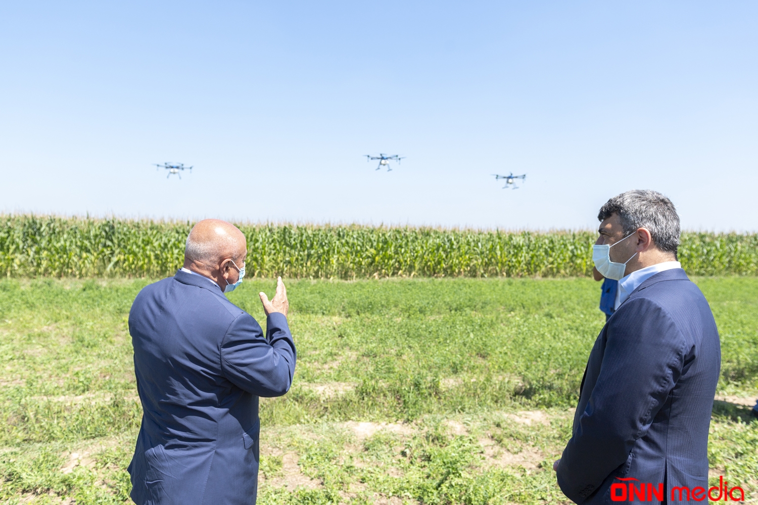 Azərbaycanda ilk dəfə qarğıdalı sahələri dronlar vasitəsilə dərmanlandı