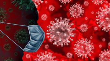 Daha 13 məktəblidə koronavirus aşkarlandı – RƏSMİ AÇIQLAMA