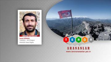 Türkiyədə daha bir PKK terrorçusu MƏHV EDİLDİ