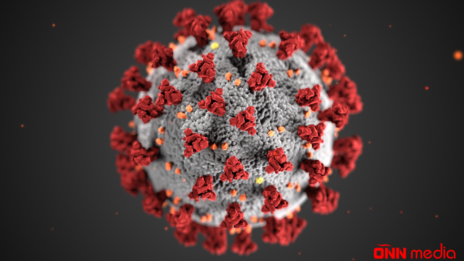 Koronavirus kökəlməyə səbəb olur?
