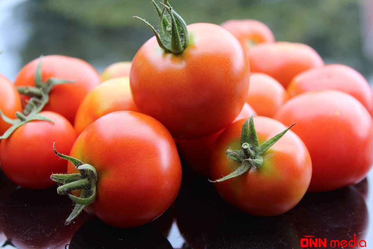 Azərbaycan pomidor ixracı potensialını yüksəltdi