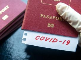 Saxta COVID-19 pasportu satan vəzifəli şəxslərə cinayət işi açıldı