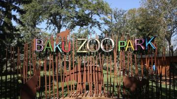 Bakı Zooloji Parkı açıldı, ilk ziyarətçiləri şəhid övladları oldu