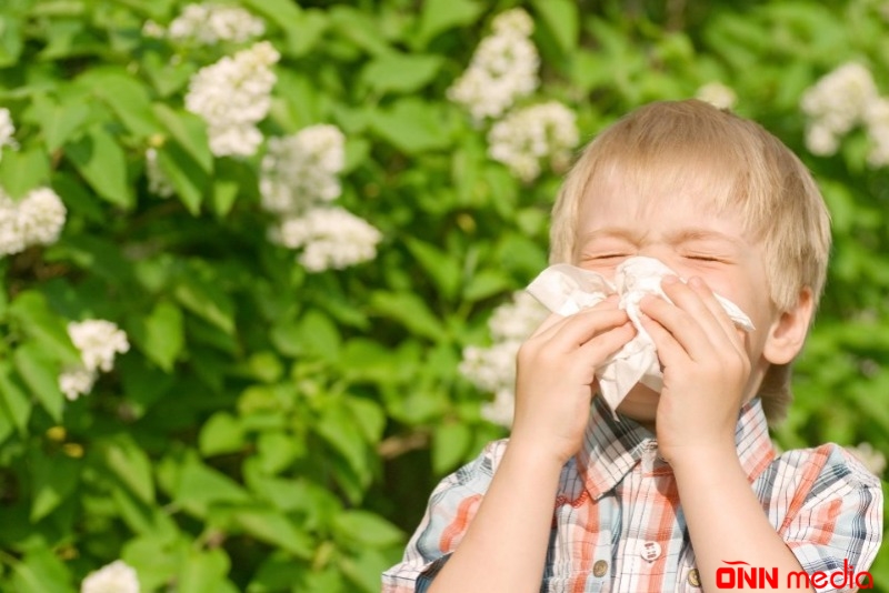 Pollinoz – Yaz allergiyasına qarşı təbii çarə
